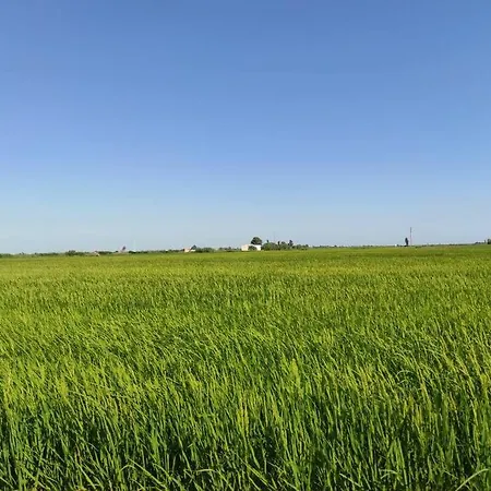 Pequena En El Centro Del Delta Del Ebro Casa vacanze